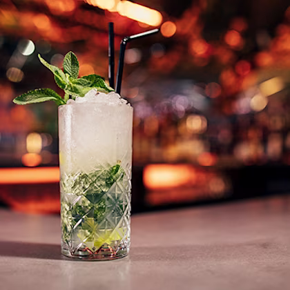 Havana Mojito