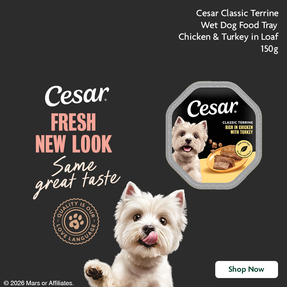 Cesar promotional banner 