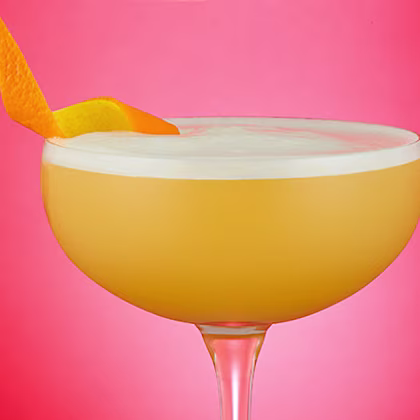Citrus Gin and Tonic