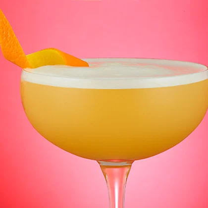 Citrus Gin and Tonic