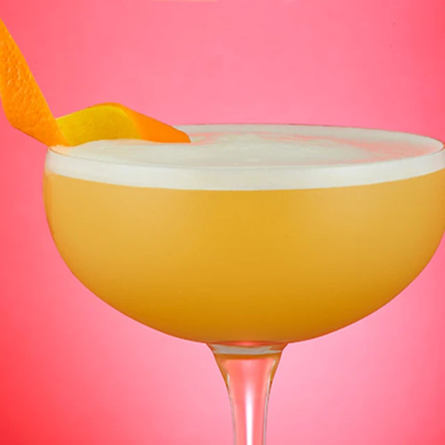 Citrus Gin and Tonic