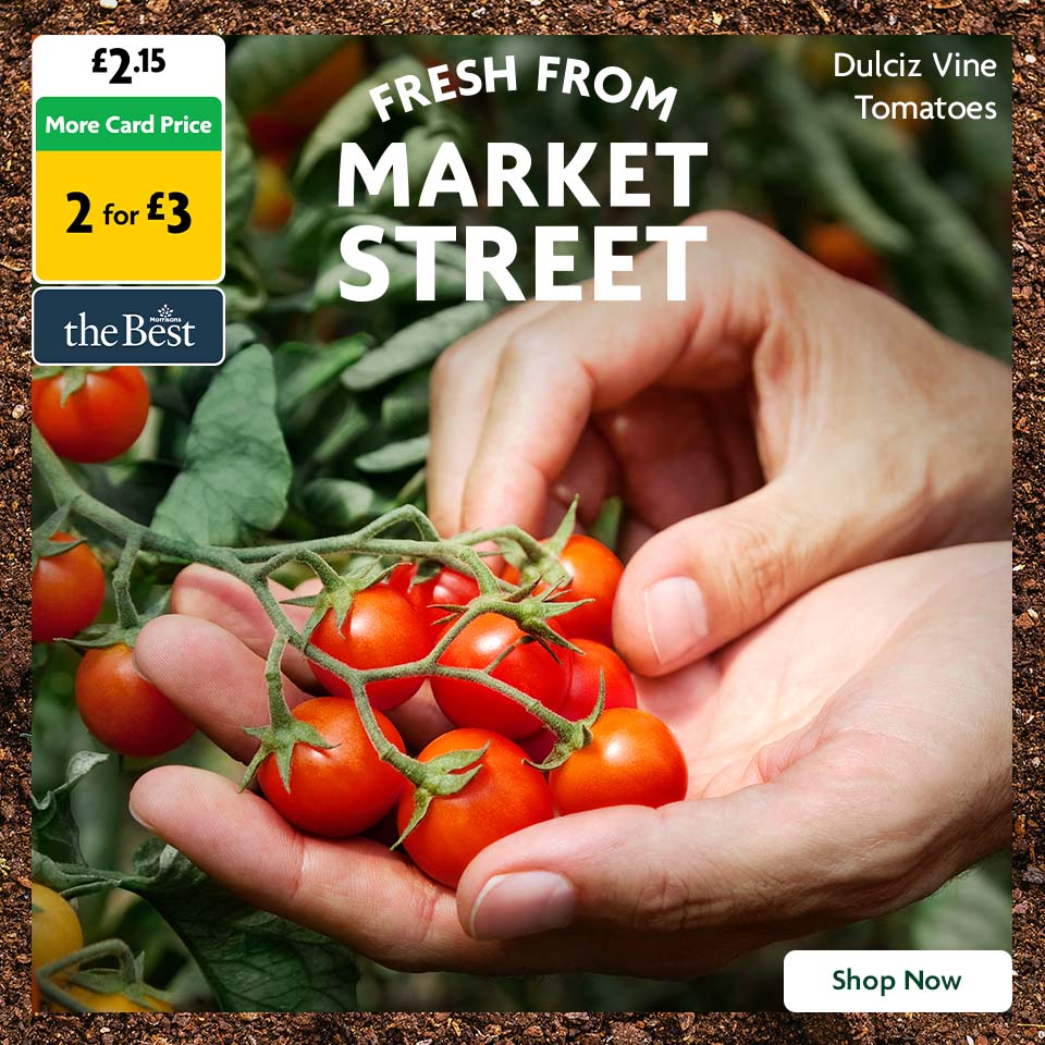Fresh From Market Street The Best Tomatoes