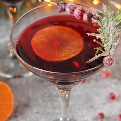 Alcohol-Free Christmas Spiced Gin and Cranberry
