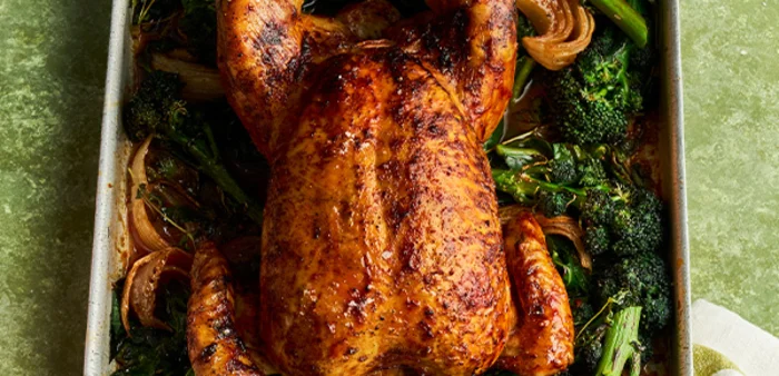 High Protein Recipes