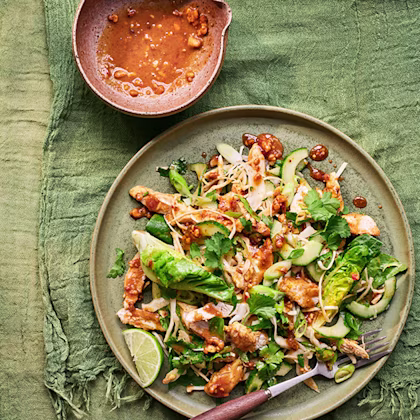 Griddled Chicken Satay Salad