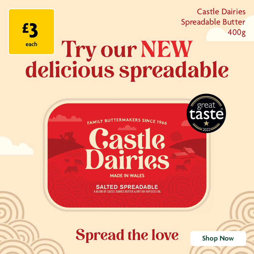 Castle Diaries Promotional Banner