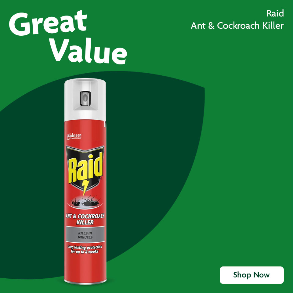 Raid Promotional Banner