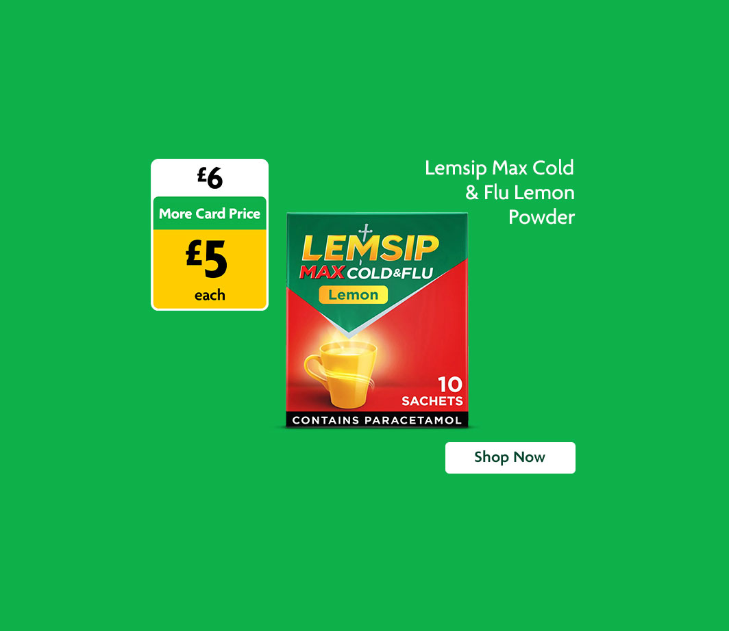 LEMSIP PROMOTIONAL BANNER