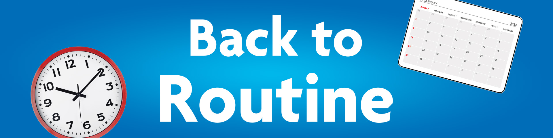 Back To Routine