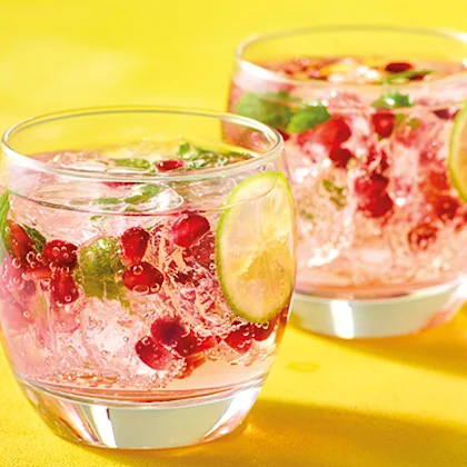 Aromatic Gin and Tonic