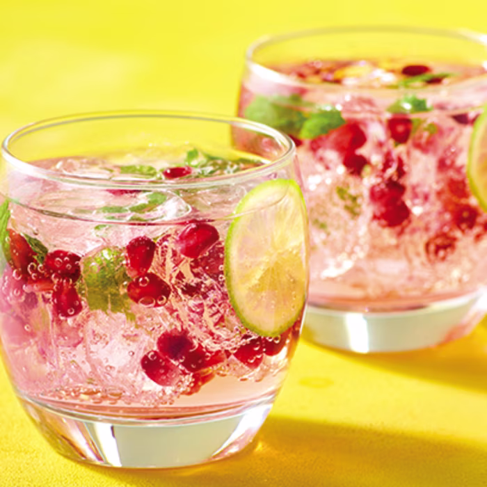 Pomegranate Gin and Tonic