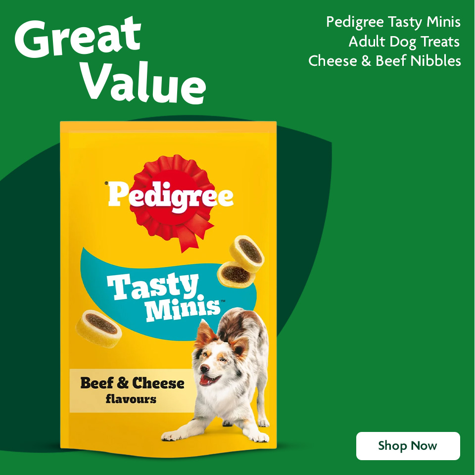 Pedigree dog food banner
