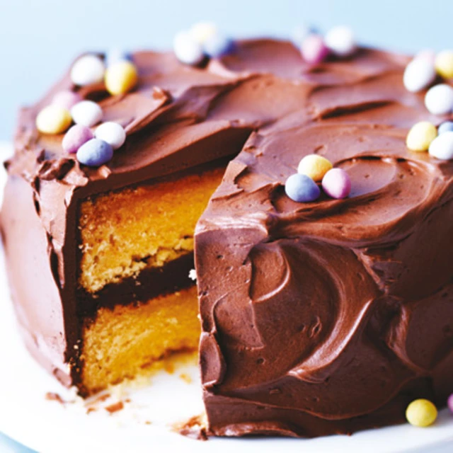 Lemon Cake with Chocolate Frosting