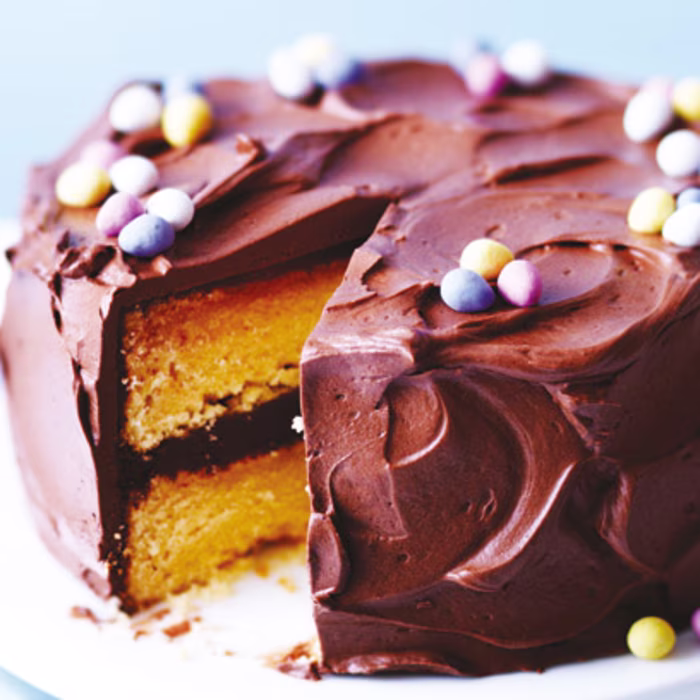 Lemon Cake with Chocolate Frosting