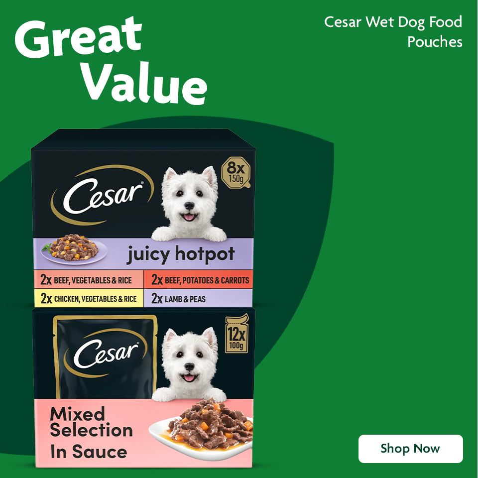 Cesar dog food banner