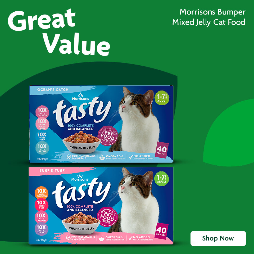 Cat Food Promotional Banner 