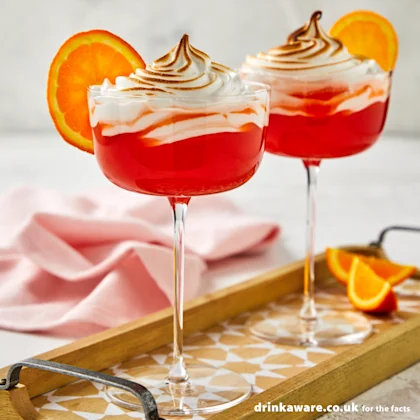 Bourbon and Blood Orange Cocktail