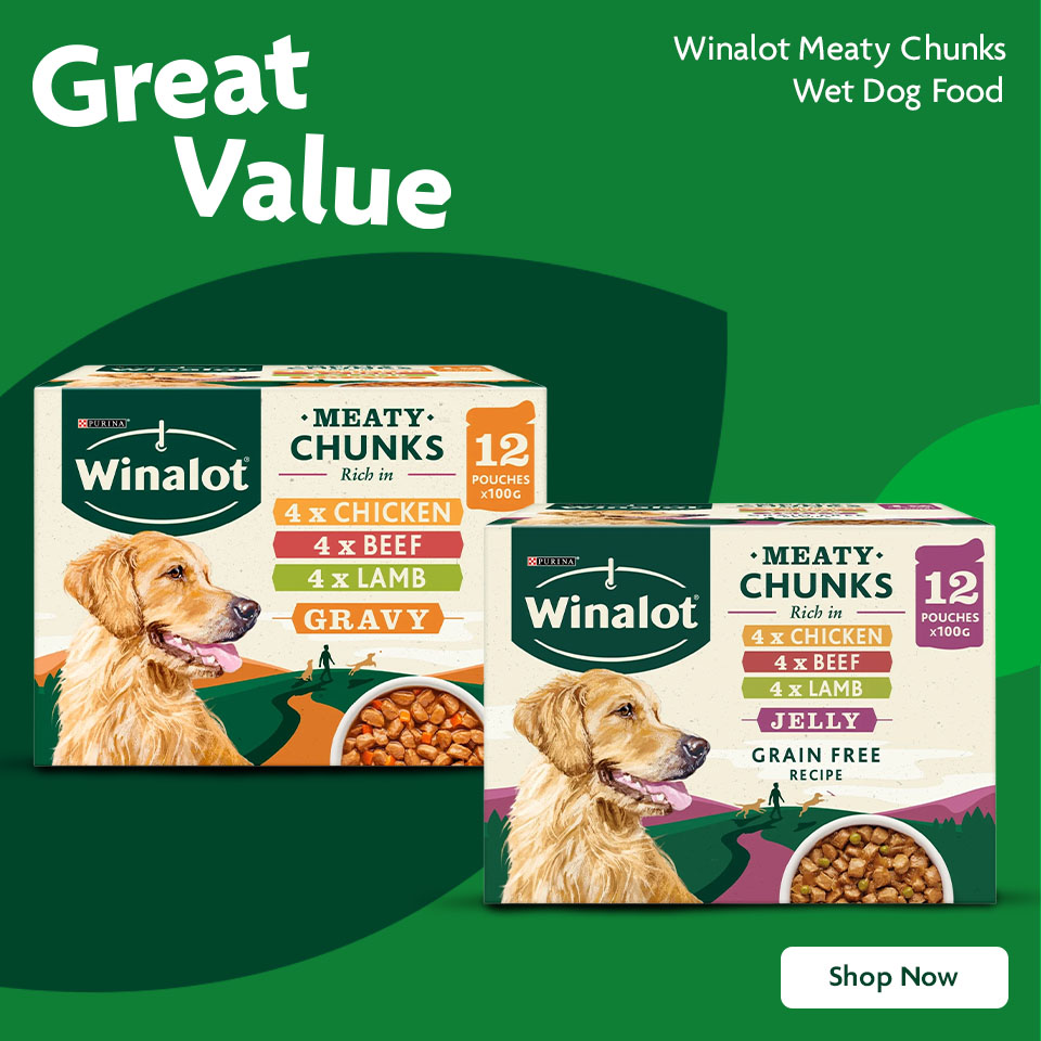 Winalot - Promotional Banner