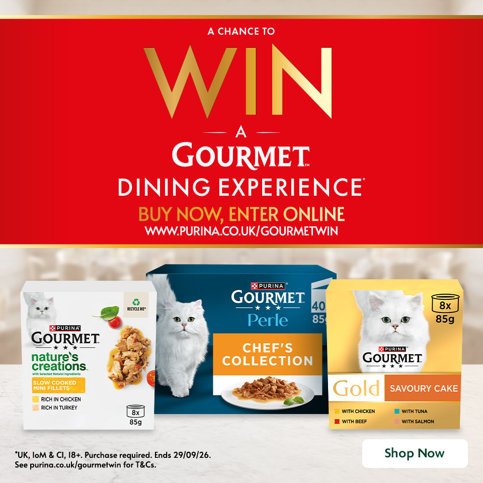 Gourmet promotional banner