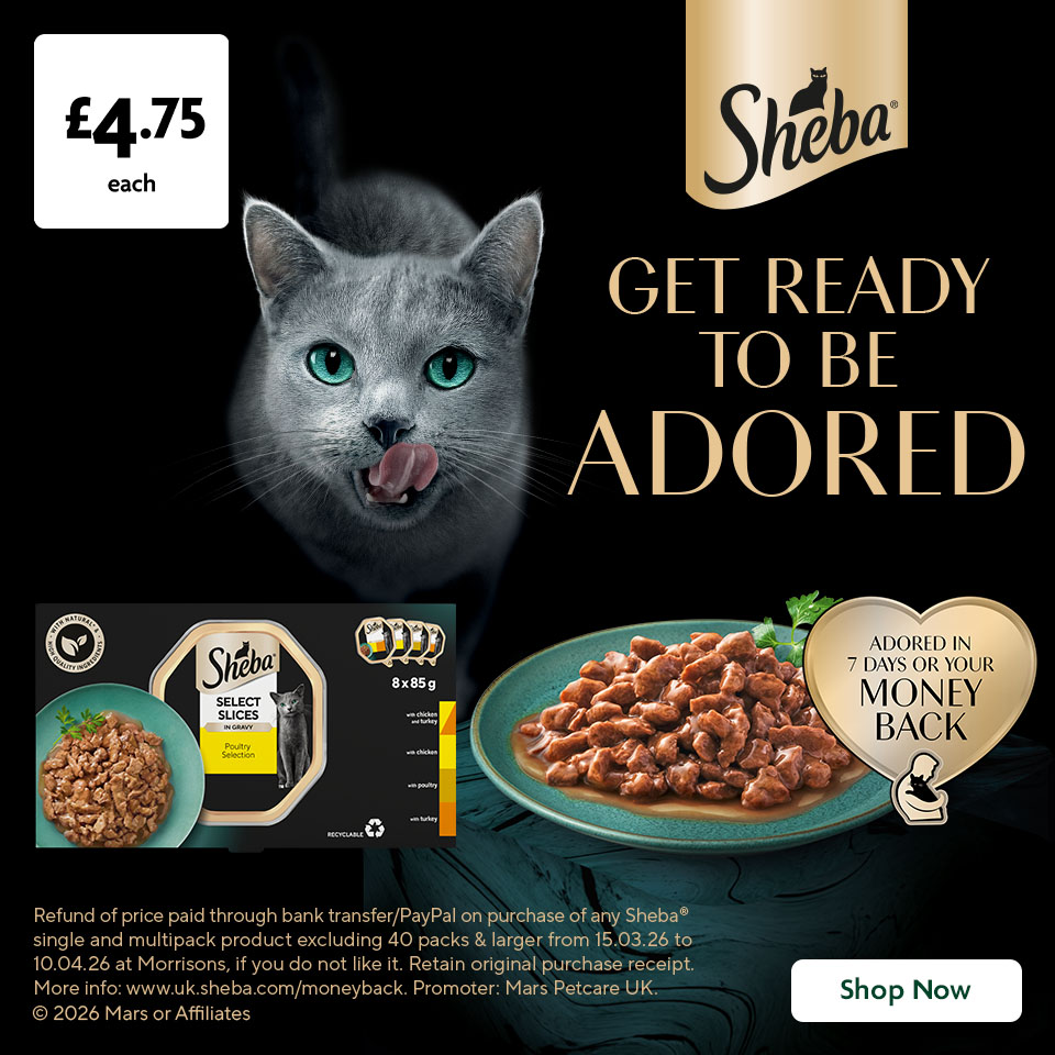 Sheba promotional banner