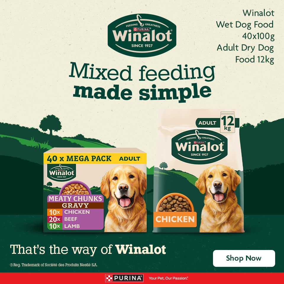 Winalot Promotional Banner