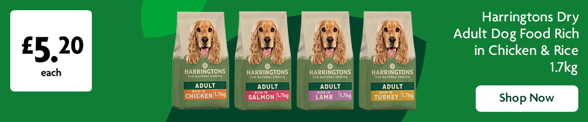 Harringtons promotional banner