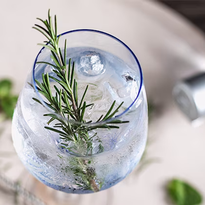 Gin Free G&T
