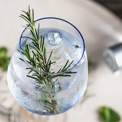 Gin Free G&T