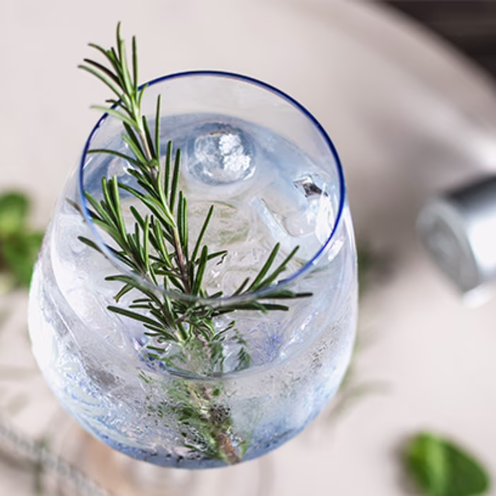 Gin Free G&T