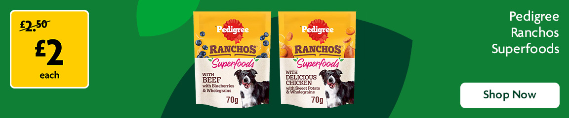 Pedigree promotional banner