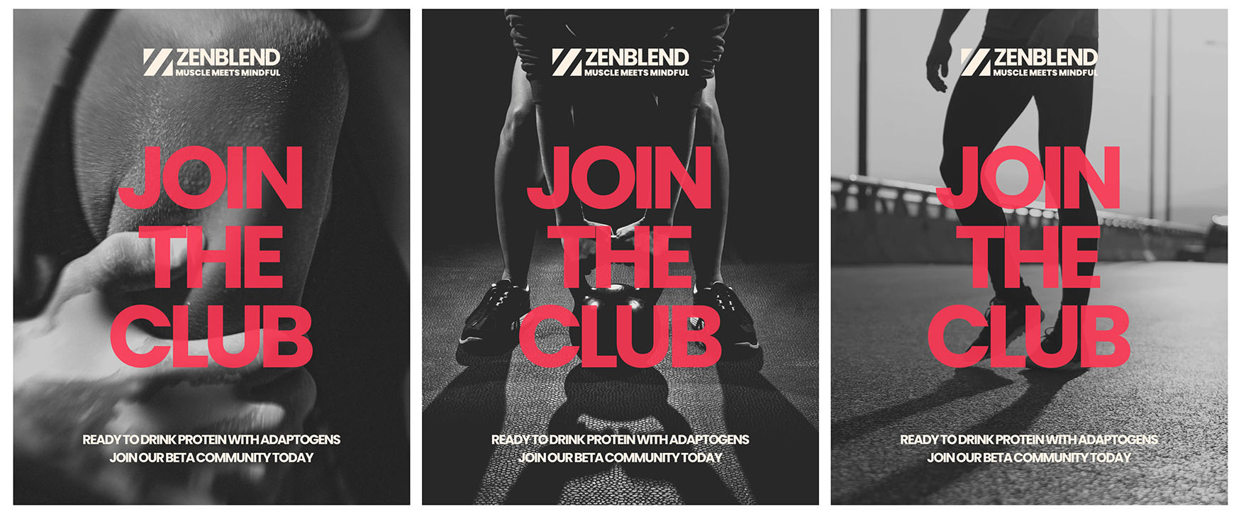 ZenBlend control ads