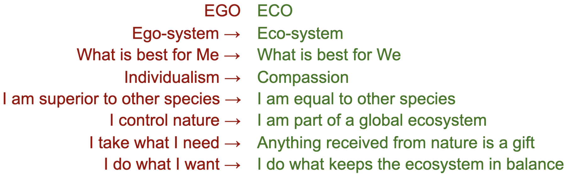 Ego-Eco Age of Union article