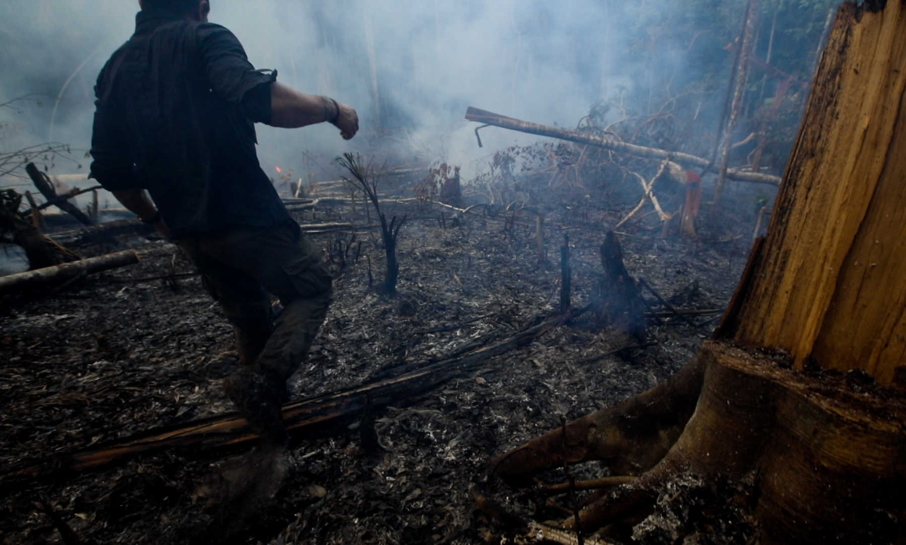 Burning Forest by Mohsin Kazmi