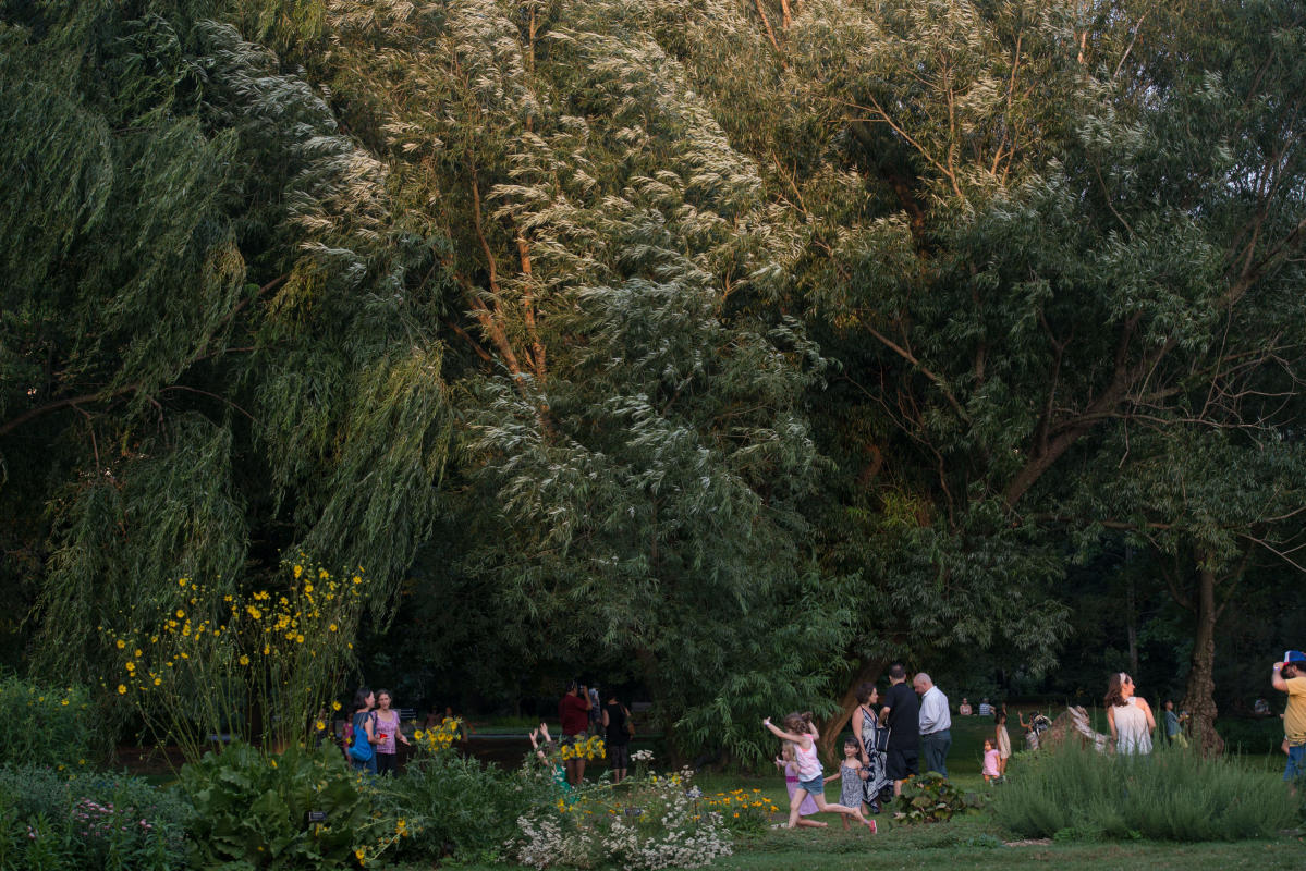 brooklynbotanicalgarden_julienneschaer_272