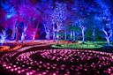 Lightscape-Brooklyn-Botanical-Garden-Brooklym-NYC-Photo-Courtesy-Brooklyn-Botanical-Garden-2.jpg