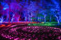 Lightscape-Brooklyn-Botanical-Garden-Brooklym-NYC-Photo-Courtesy-Brooklyn-Botanical-Garden-2.jpg