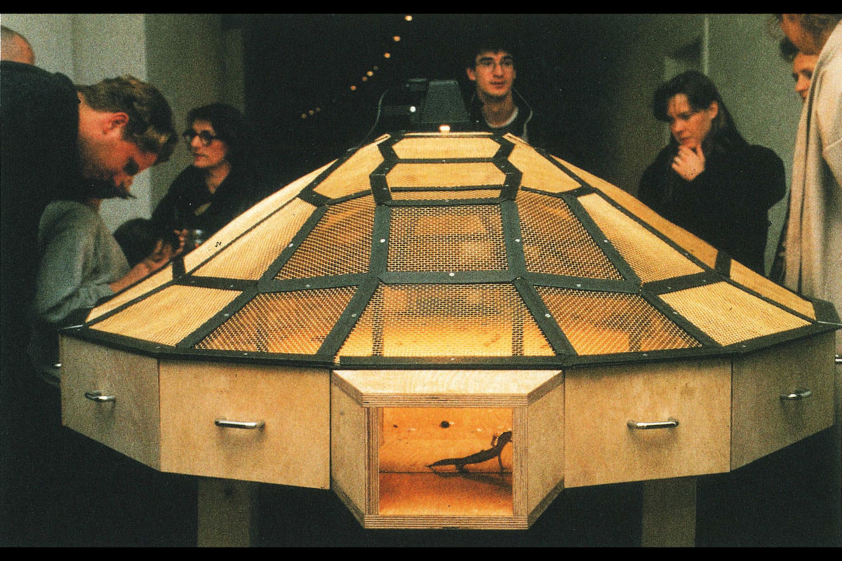 
"Theater of the World"(1993) by
Huang Yong Ping. Courtesy,
Guggenheim Abu Dhabi.
&copy; Huang Yong Ping