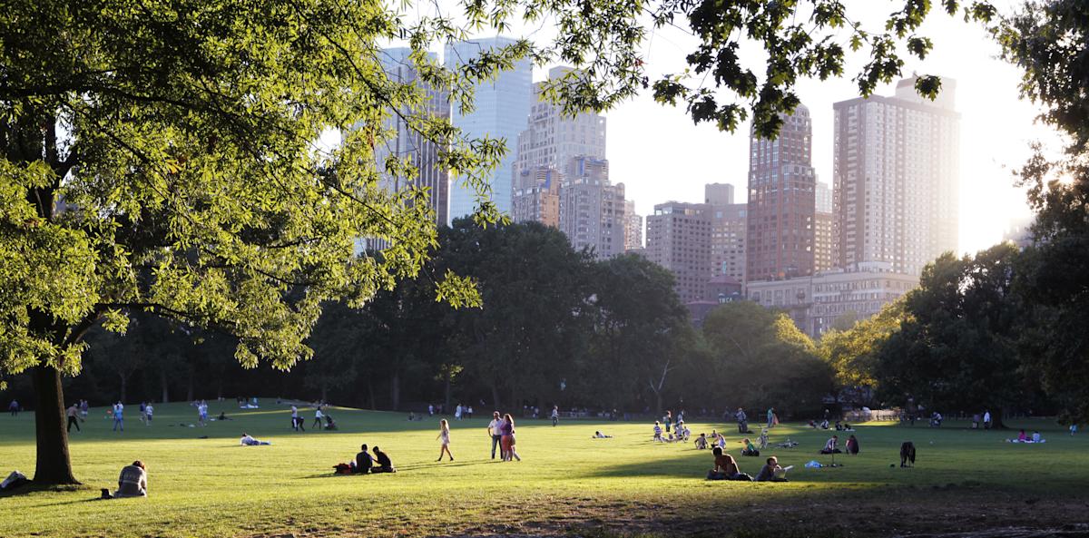 Sheep Meadow, Central Park