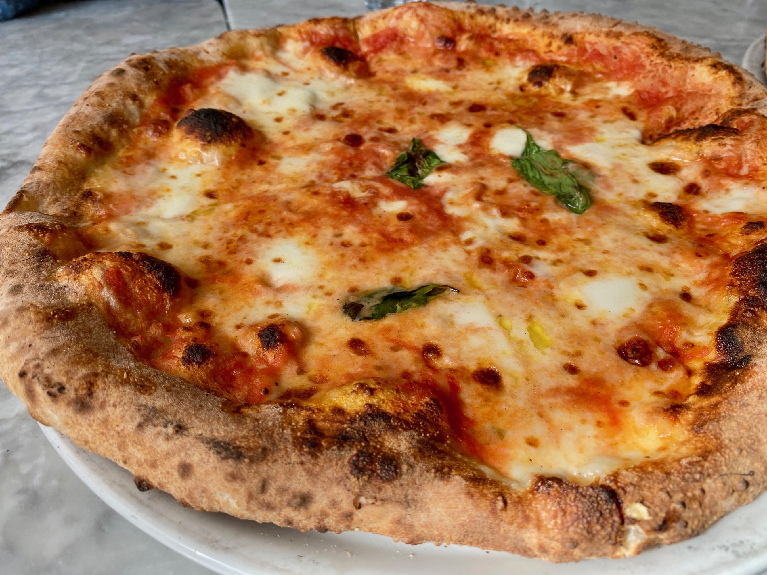 IMG_0816_5B5F26BD-5F03-492F-A6216F420914FF0F_7bc63d26-f5ed-414c-ab101e6fef4ffe7e