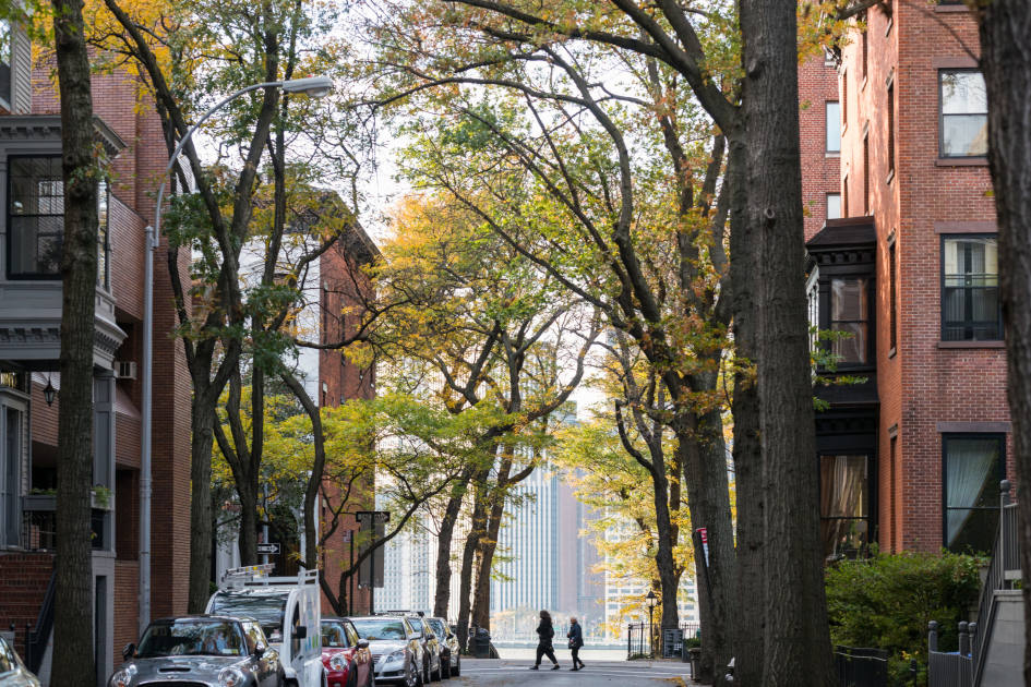 All The Best Things to do in Brooklyn Heights - Your Brooklyn Guide