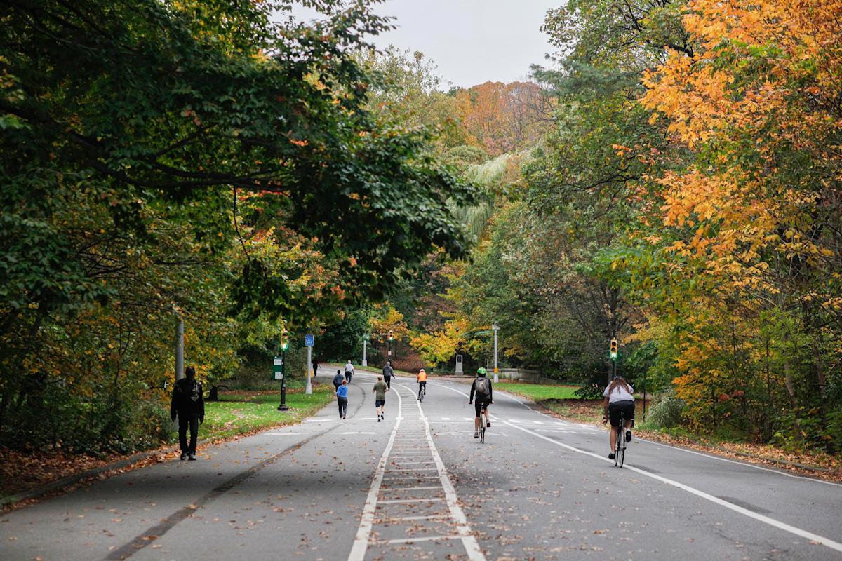 Prospect Park. Photo: Joe Buglewicz