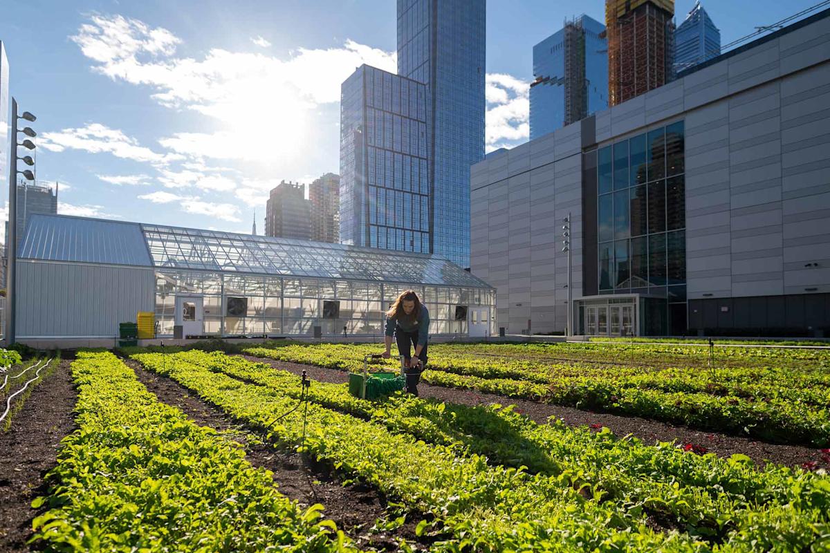 A person works on the rooftop farm atop the expansion of the convention center in Manhattan