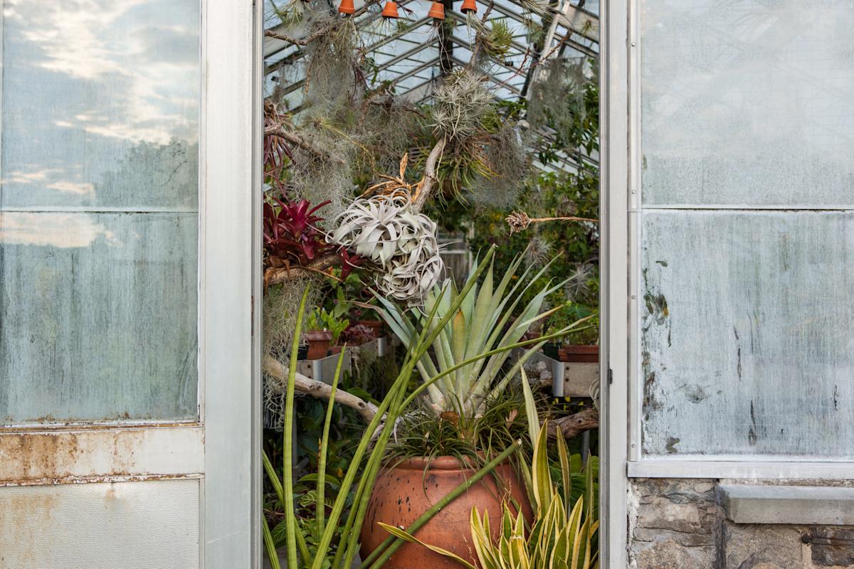 Photo: Tagger Yancey IV