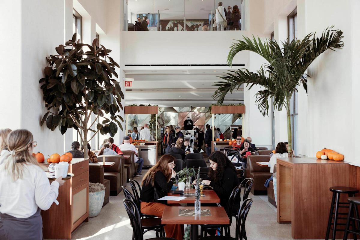 A bustling cafe with large windows and lush indoor plants. People are seated at tables, engaged in conversation, while a server attends to guests. Natural light fills the space, creating a warm and inviting atmosphere.