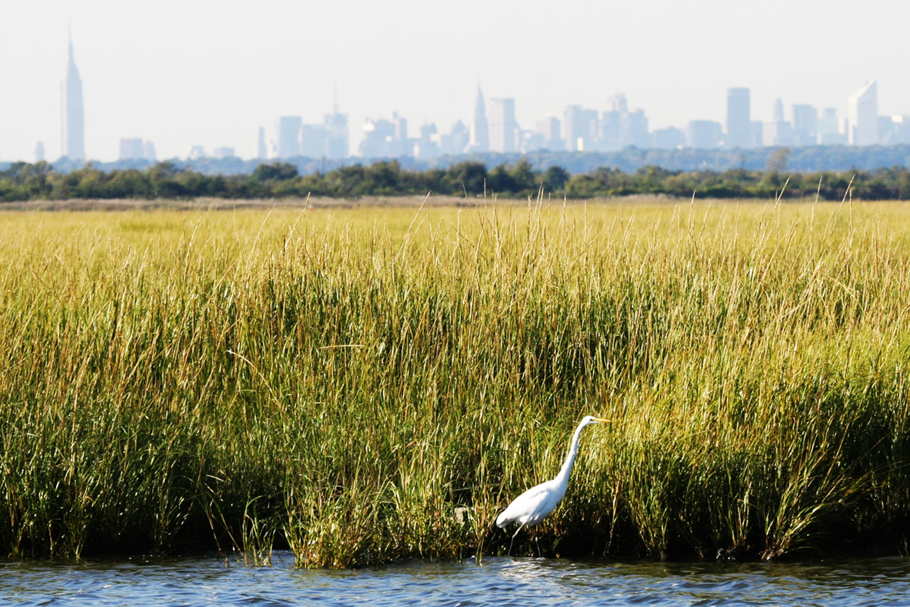 gateway-nra_jamaica-bay-wildlife-refuge