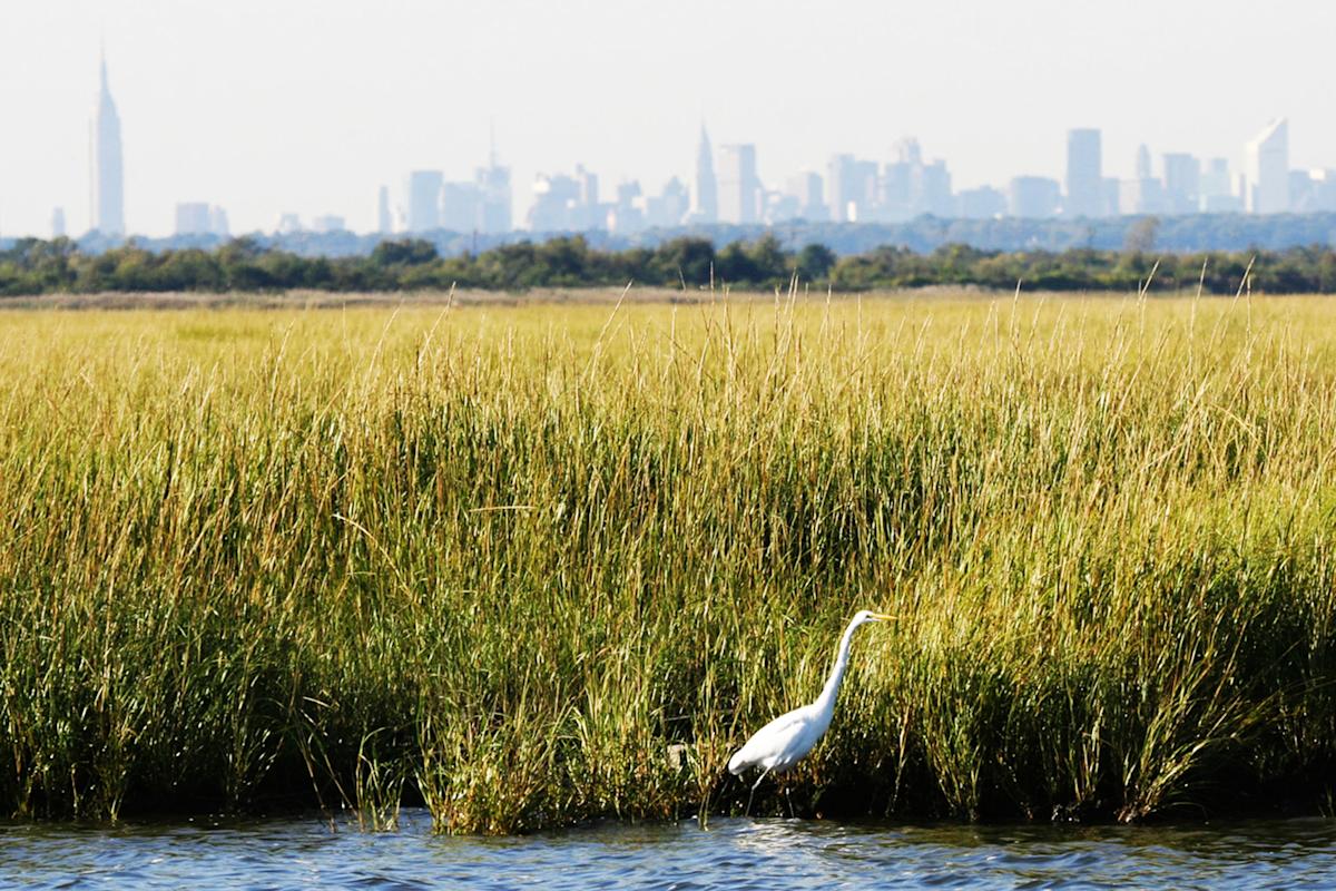 National Parks of New York Harbor