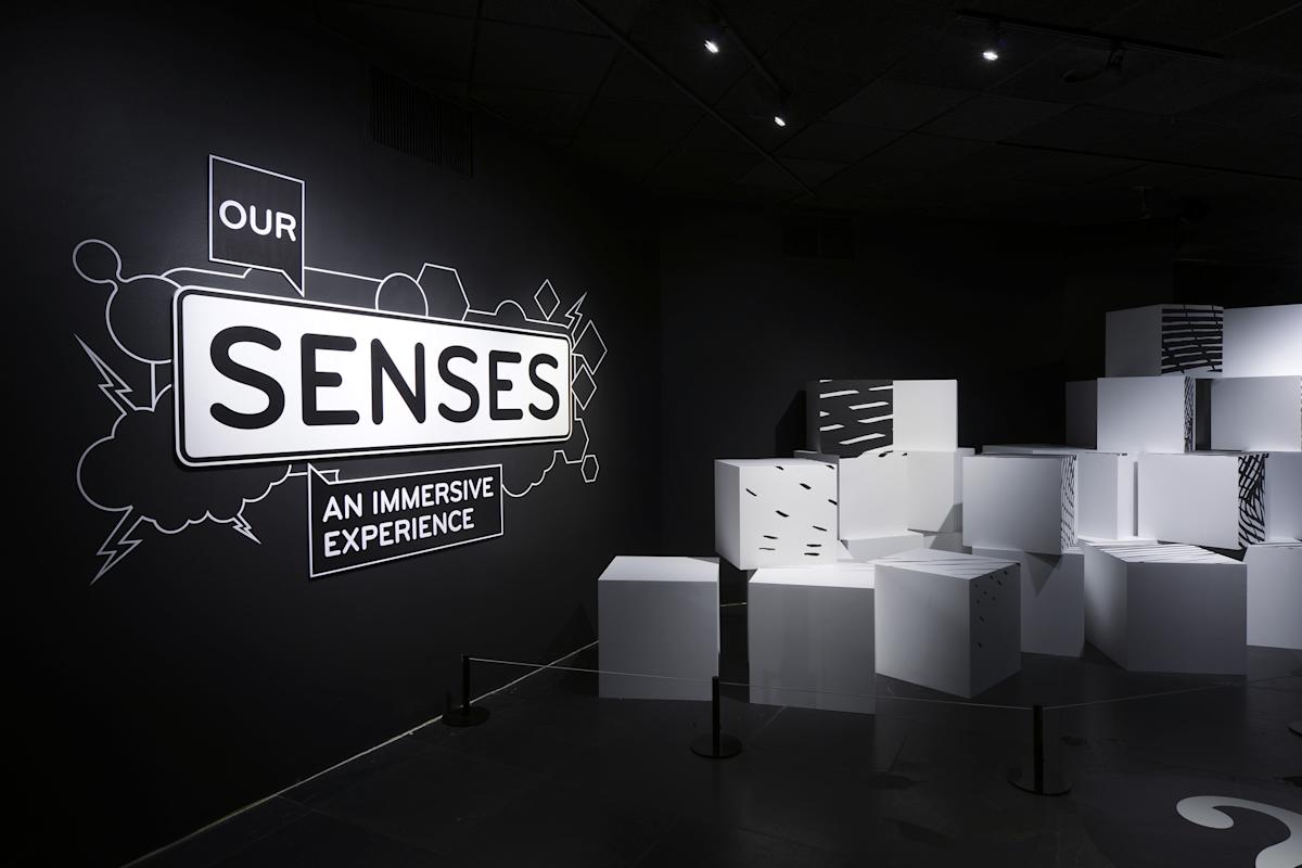 Our Senses. Courtesy, American Museum of Natural History. Photo: R. Mickens