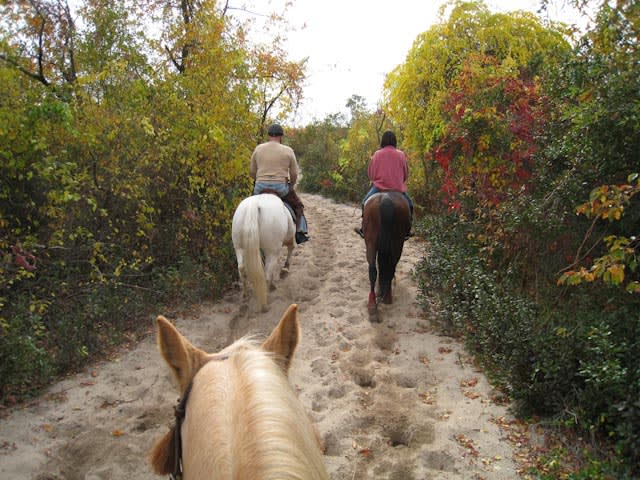 Jamaica Bay Riding Academy in Outdoors & Recreation NYC Tourism