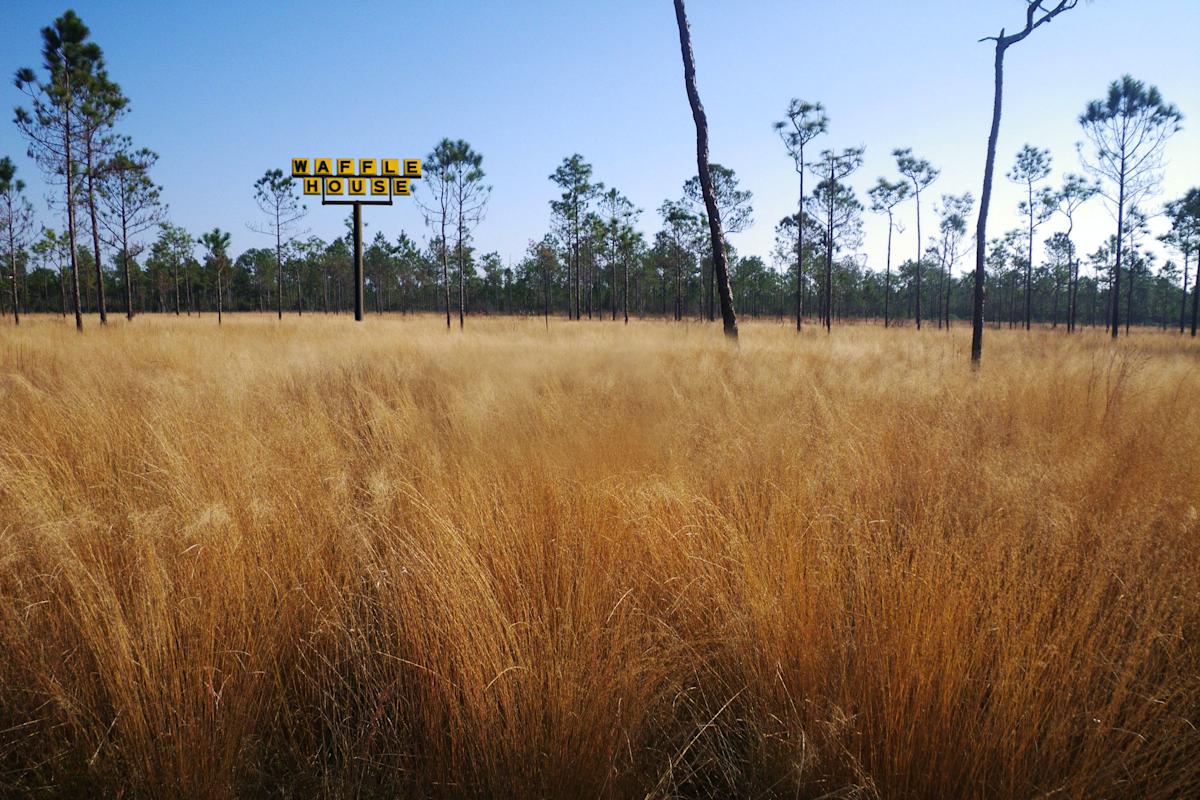 MoMA, The Museum of Modern Art, New York