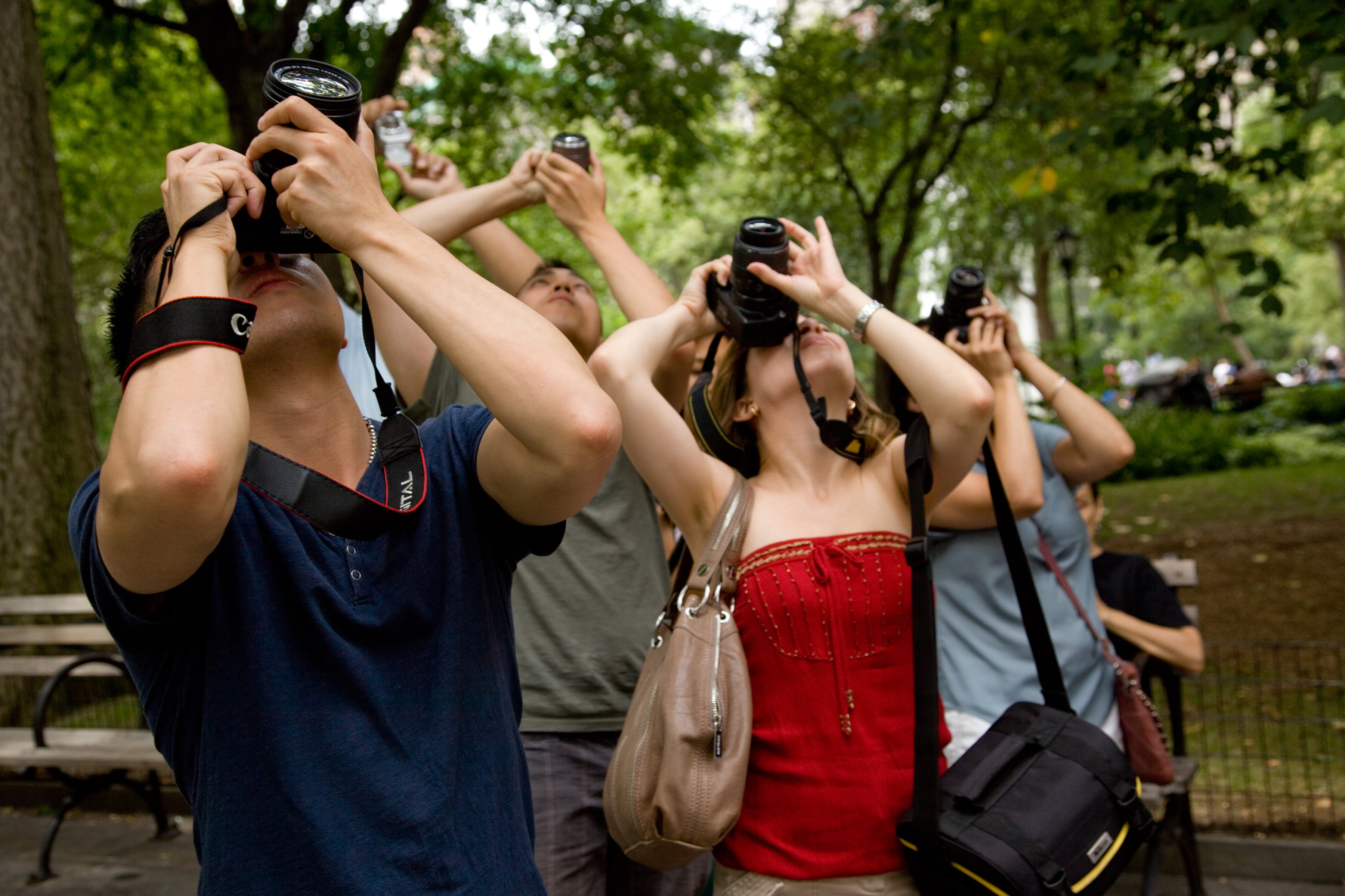 new-york-city-photo-safari-central-park-nyc-photo-safari